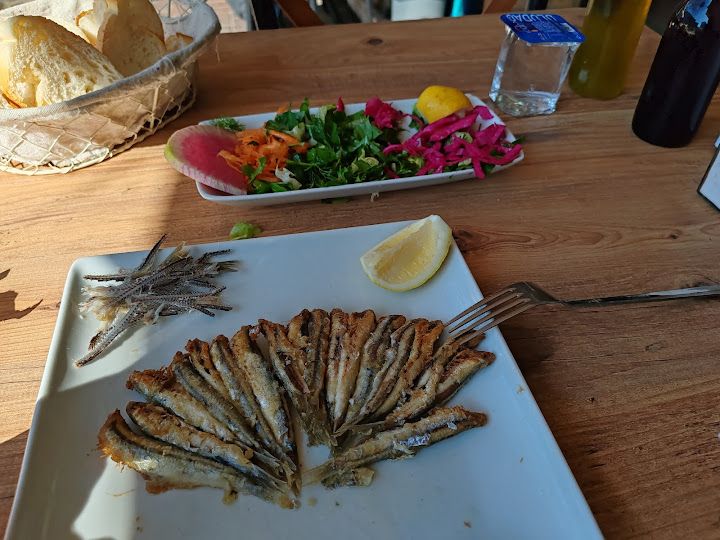 Fotoğraf 11