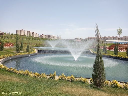 Yorum fotoğrafı 4