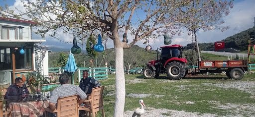 Fotoğraf 39