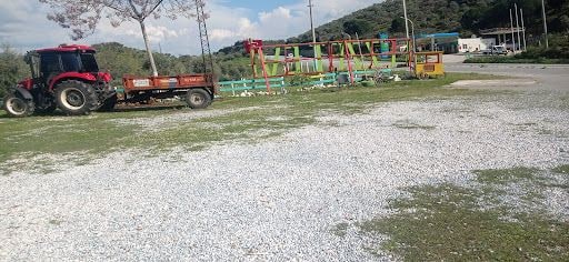 Fotoğraf 40