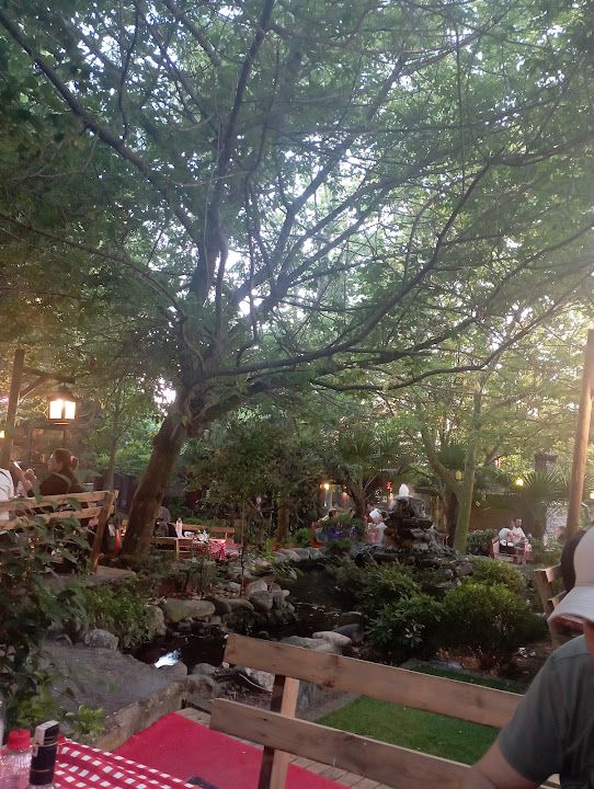 Fotoğraf 8