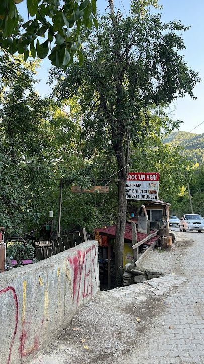 Yorum fotoğrafı 3