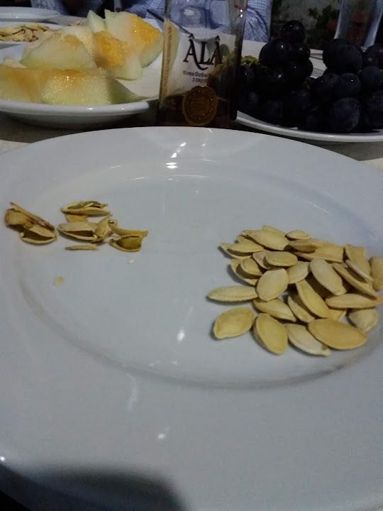 Fotoğraf 12