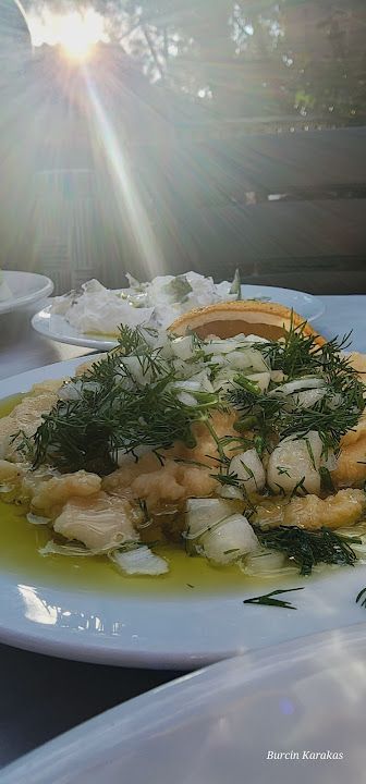 Fotoğraf 14