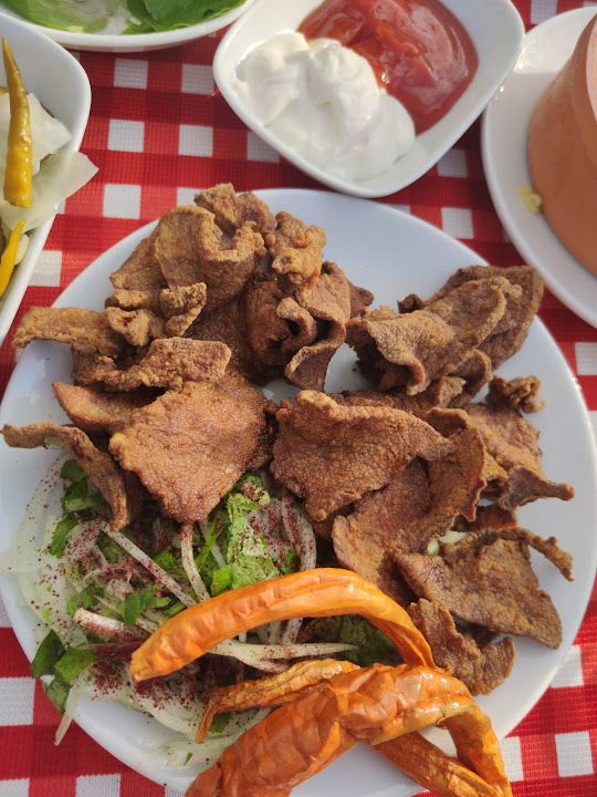 Fotoğraf 37