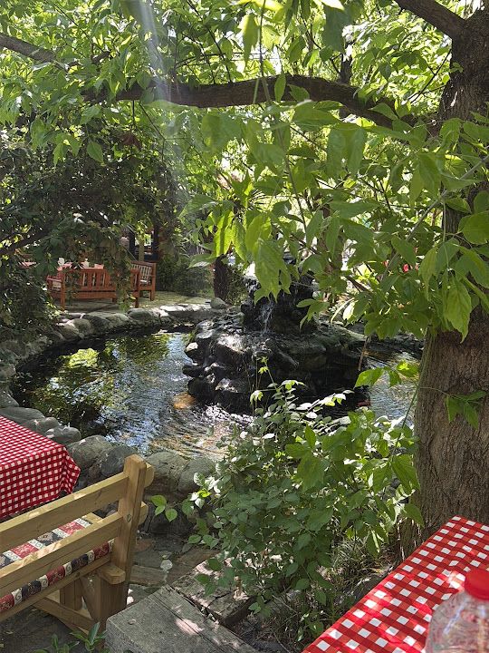 Fotoğraf 55
