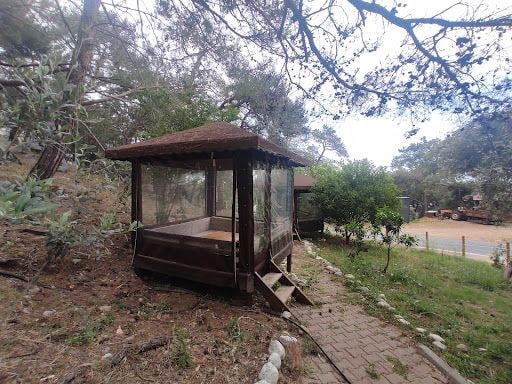 Yorum fotoğrafı 9