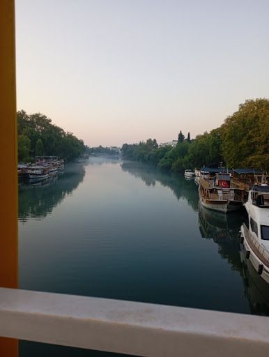 Yorum fotoğrafı 5