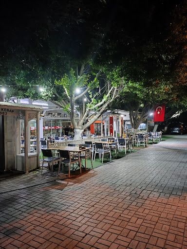 Fotoğraf 26
