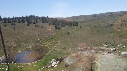 Yorum fotoğrafı 5