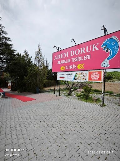Yorum fotoğrafı 6