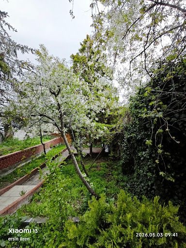 Yorum fotoğrafı 8
