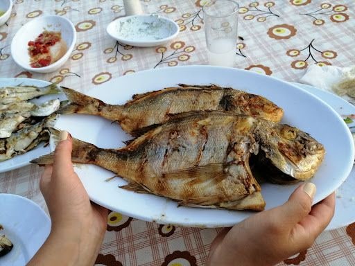 Fotoğraf 32