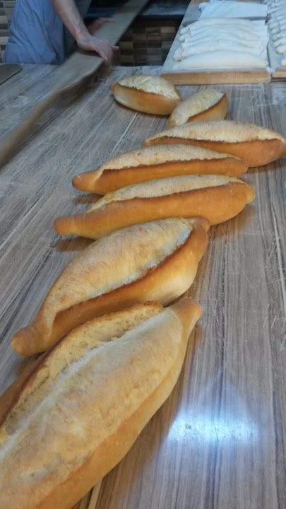 Fotoğraf 15