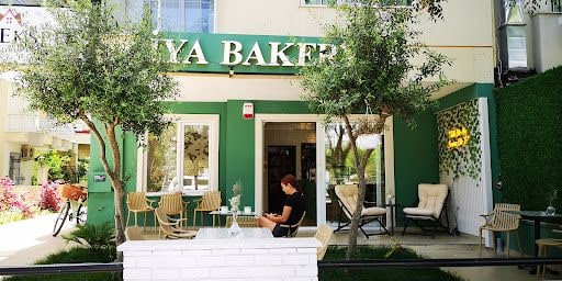 Yorum fotoğrafı 7