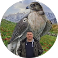 Ertuğrul Aydoğdu