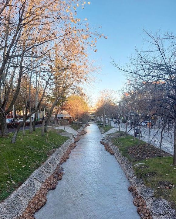 Yorum fotoğrafı 3
