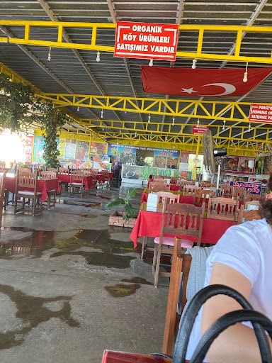 Fotoğraf 17
