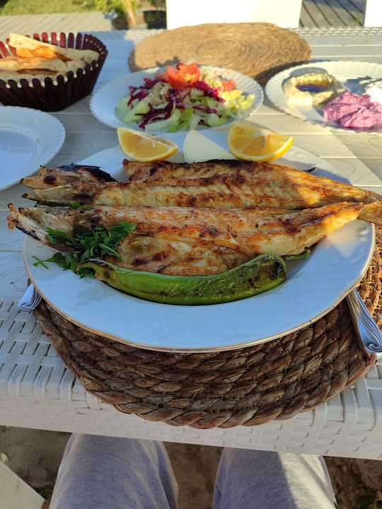 Yorum fotoğrafı 2