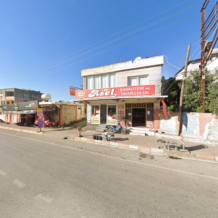 Fotoğraf 3