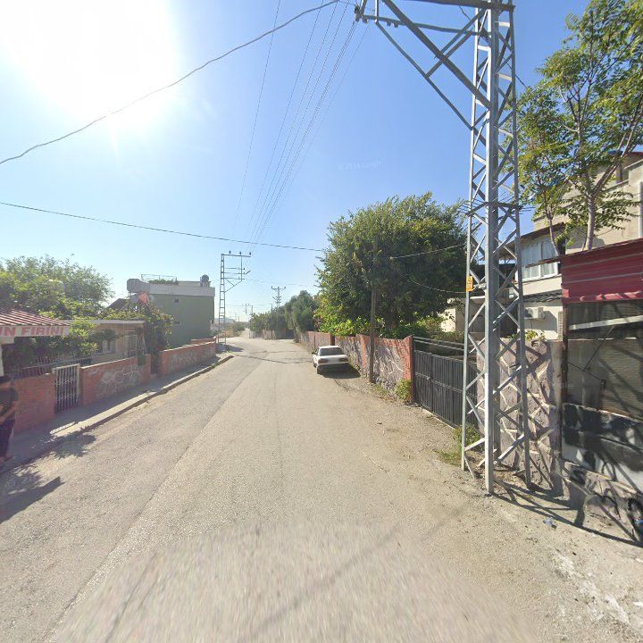 Fotoğraf 3