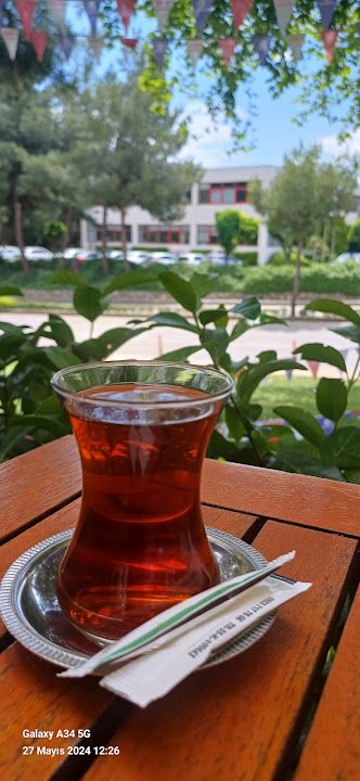 Fotoğraf 6