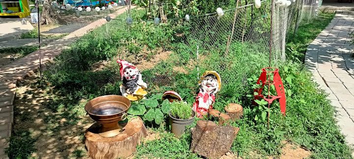 Yorum fotoğrafı 3