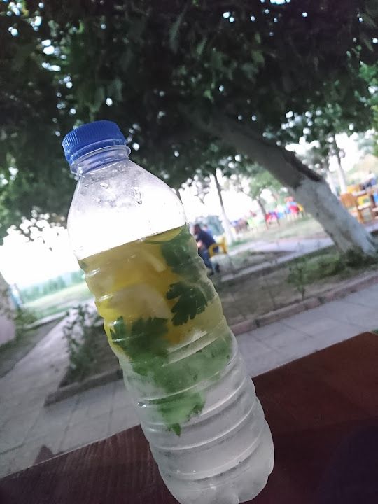 Fotoğraf 18