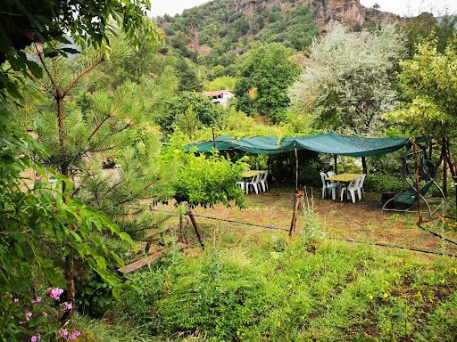 Yorum fotoğrafı 7