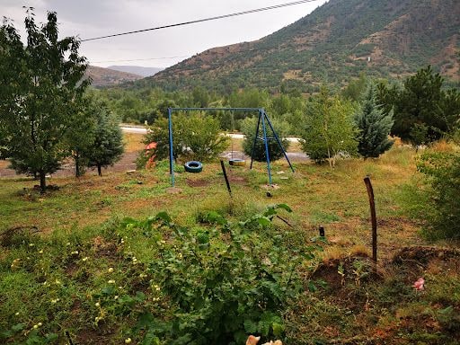 Yorum fotoğrafı 8