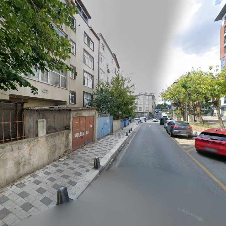 Fotoğraf 14