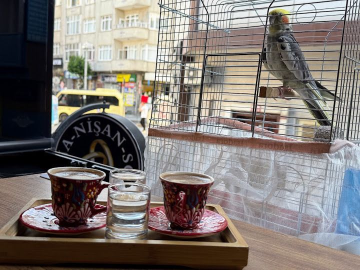 Fotoğraf 5