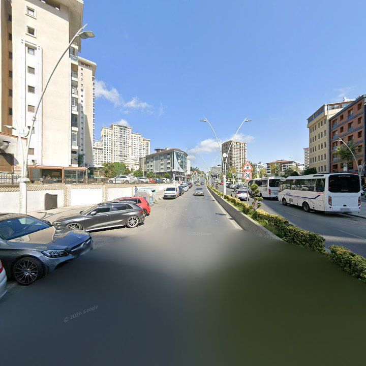 Fotoğraf 13