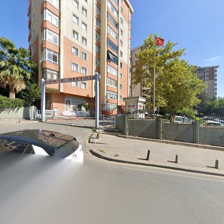Fotoğraf 12