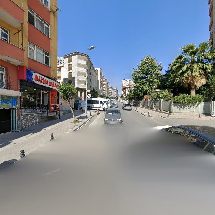 Fotoğraf 11