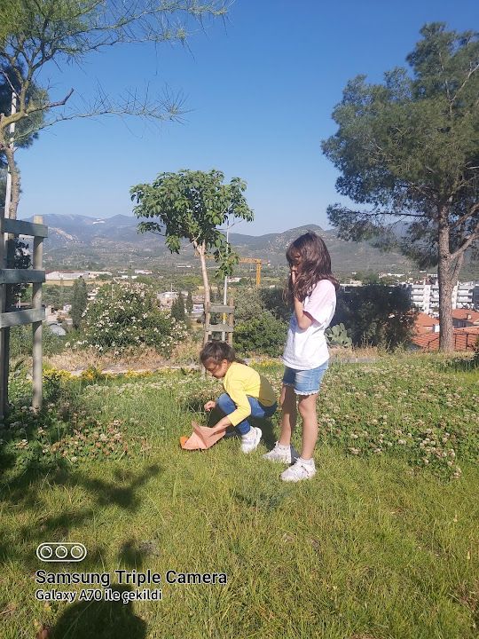 Yorum fotoğrafı 4