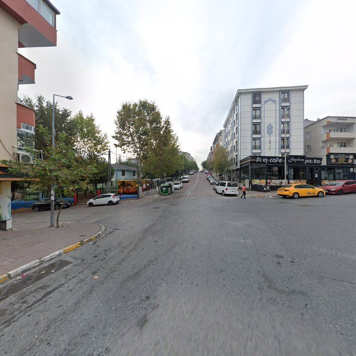 Fotoğraf 10