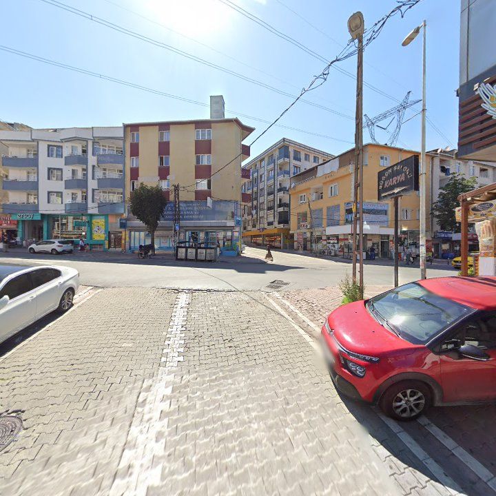 Fotoğraf 10