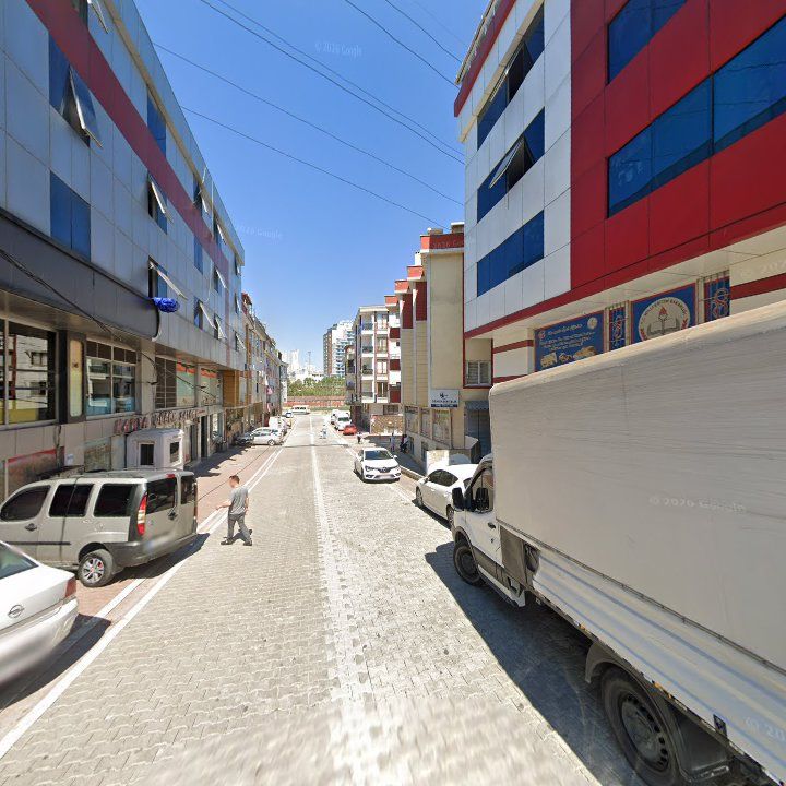 Fotoğraf 8