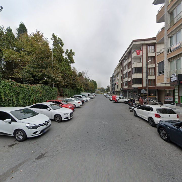 Fotoğraf 12