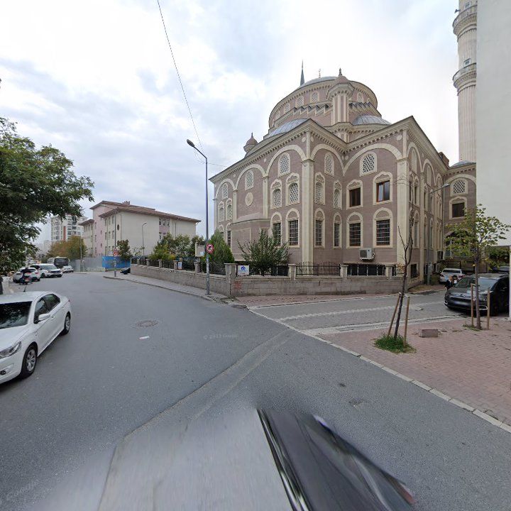 Fotoğraf 10