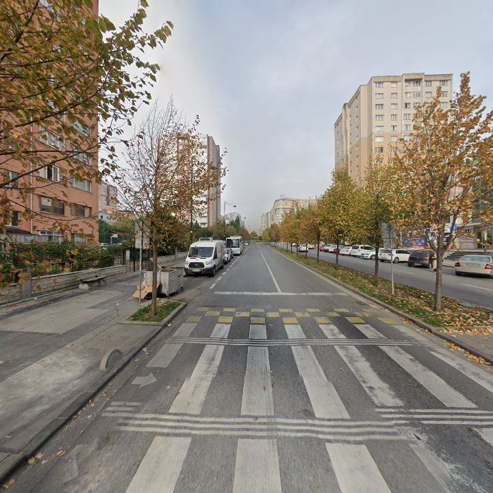 Fotoğraf 13