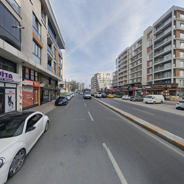 Fotoğraf 8