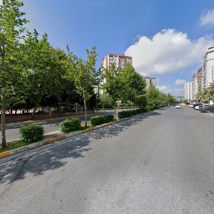 Fotoğraf 12