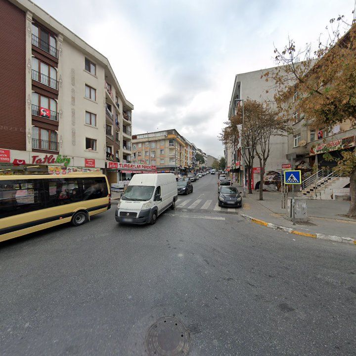 Fotoğraf 10