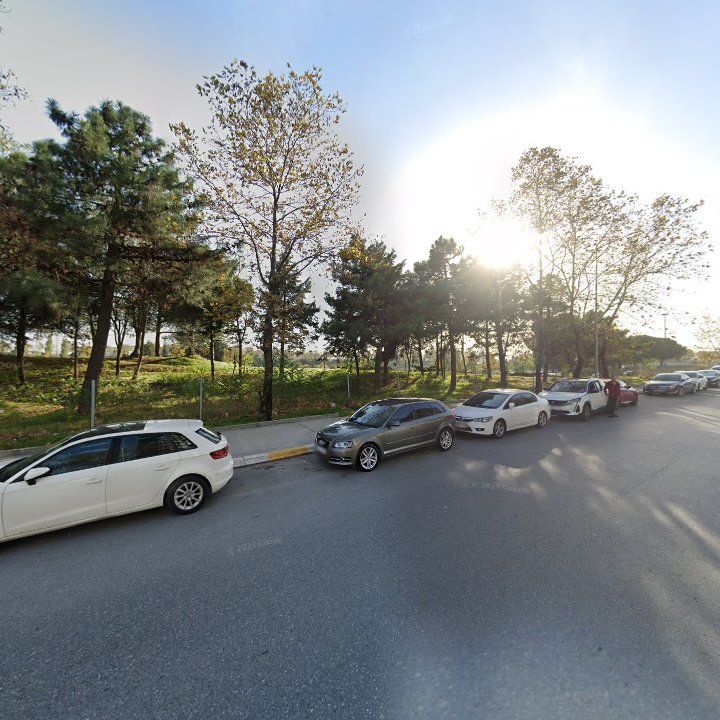 Fotoğraf 9