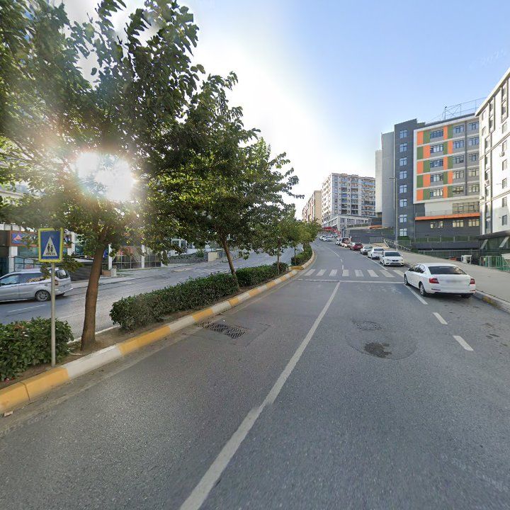 Fotoğraf 12