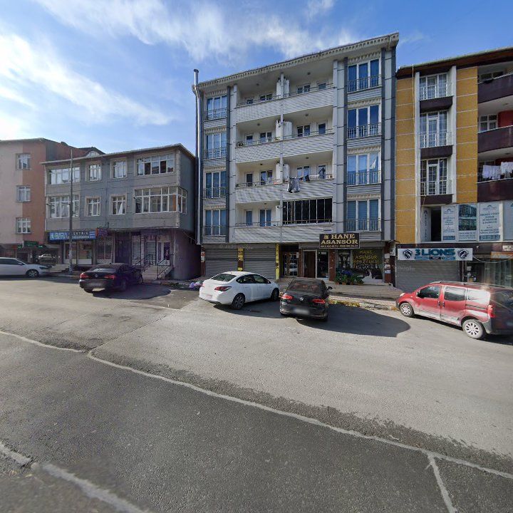 Fotoğraf 11