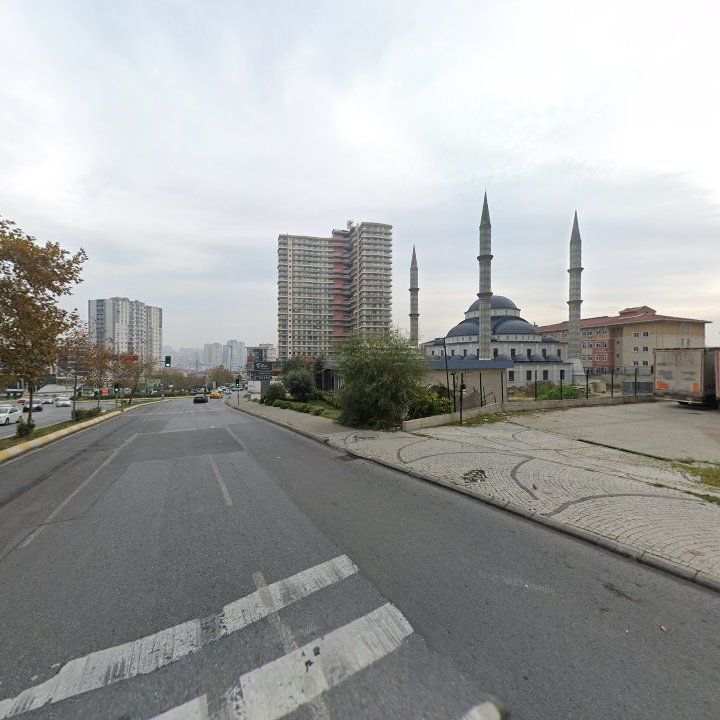 Fotoğraf 10