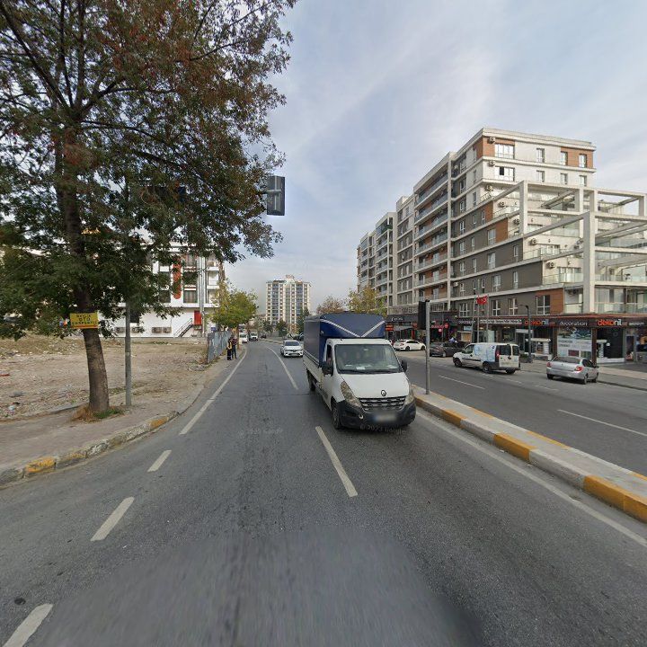 Fotoğraf 12